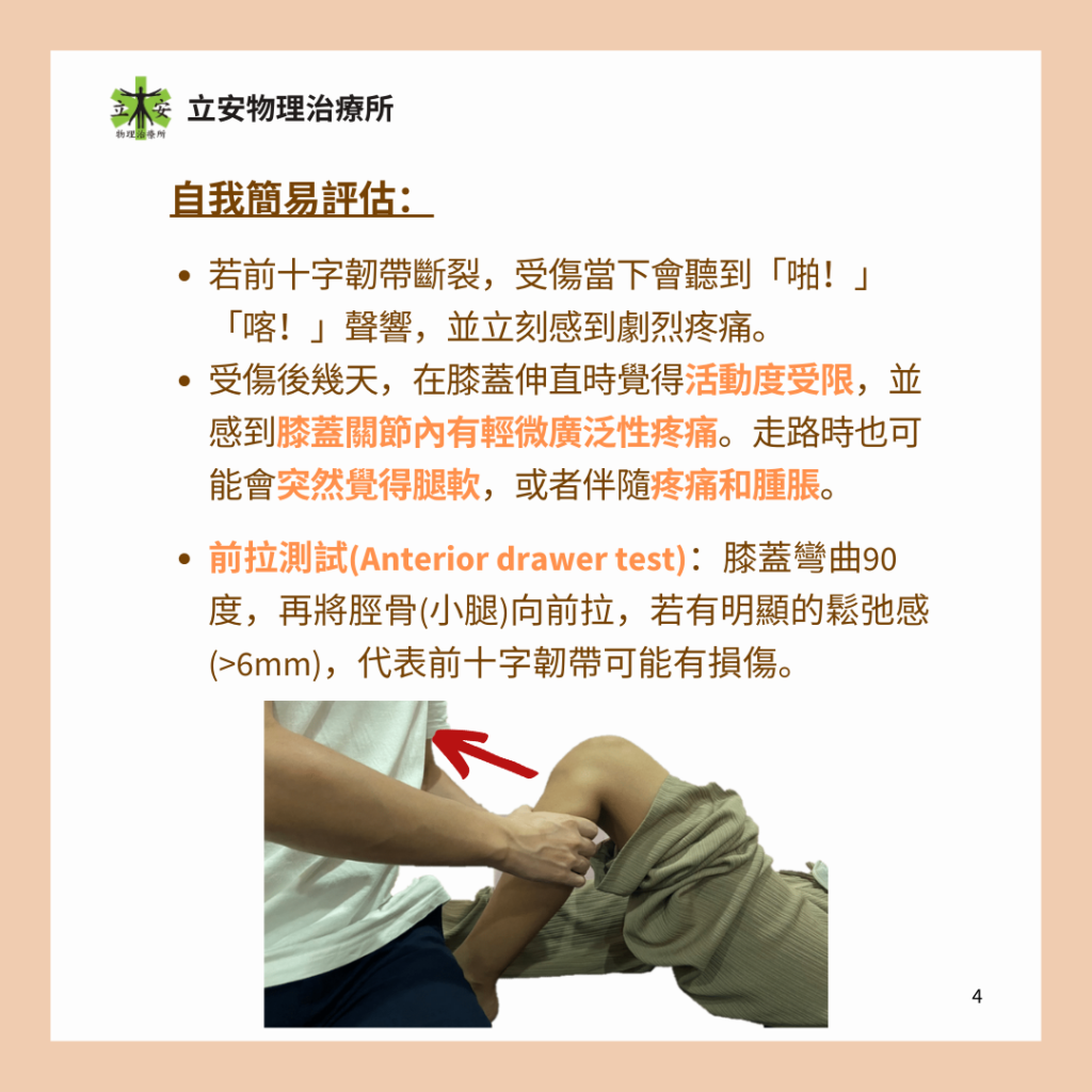 立安小教室:膝蓋前十字韌帶的構造、功能及傷害預防